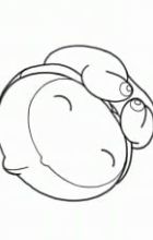 The Embryo Develops into a Fetus