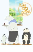 Shirokuma Cafe