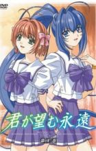 Kimi ga Nozomu Eien: Next Season