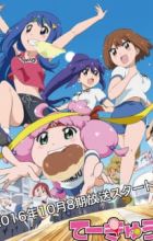 Teekyuu 8