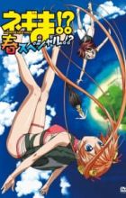 Negima!? Haru Special!?