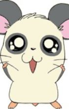 Panda-kun