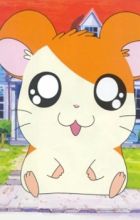 Hamtarou