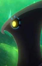 Yoru