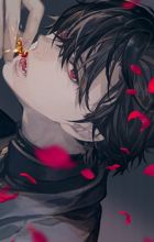 Levi