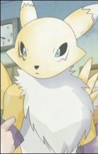 Renamon