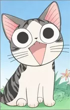 Yamada, Chi