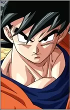 Son, Gokuu