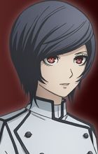 Execution Division Apprentice