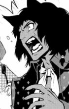 Magnus, Basilio Lupus