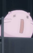Momoneko