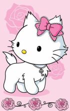 Charmmy Kitty