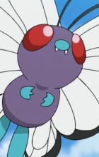 Butterfree