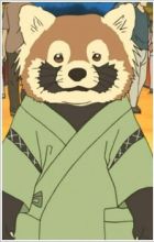 Lesser Panda
