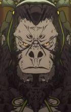 Gorilla Grodd