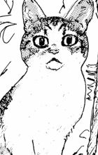 Kabocha