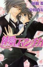 Junai Romantica
