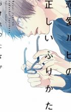 Renai Ruby no Tadashii Furikata