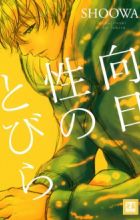 Koujitsusei no Tobira