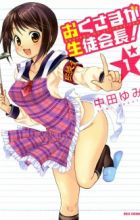 Okusama ga Seitokaichou!