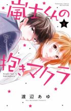 Arashi-kun no Dakimakura