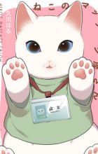 Neko no Massage-ya-san