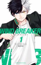 Wind Breaker