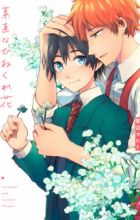 Sunao na Hinekurebana