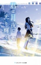 Kimi wa Tsukiyo ni Hikarikagayaku