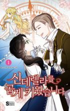 A Wicked Tale of Cinderella's Stepmom