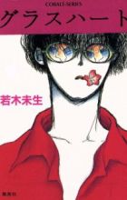 Glass Heart
