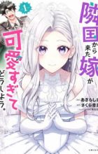 Ringoku kara Kita Yome ga Kawaisugite Doushiyou.