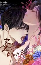 Flower of Allure