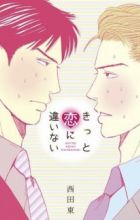 Kitto Koi ni Chigainai