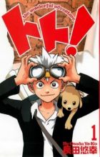 Toto!: The Wonderful Adventure