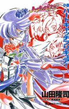 Shousetsu Heartcatch Precure!