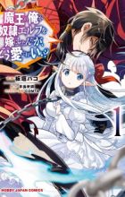 Maou no Ore ga Dorei Elf wo Yome ni Shitanda ga, Dou Medereba Ii?