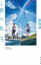 Shousetsu Kimi no Na wa.