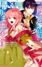 Nidoto Ie ni wa Kaerimasen!