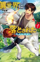 Isekai ni Otosareta... Jouka wa Kihon! @comic