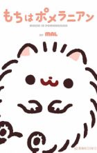Mochi wa Pomeranian