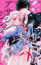 Assassin & Cinderella