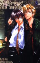 Gravitation: The Novel