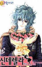 I Will Be Cinderella