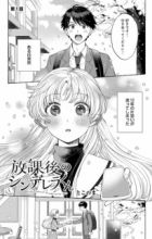 Houkago no Cinderella-kun