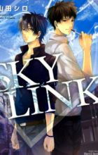 Sky Link