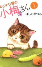 Kijitora Neko no Koume-san