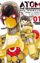 Atom: The Beginning
