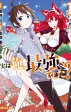 Jitsu wa Ore, Saikyou deshita?