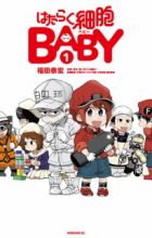 Hataraku Saibou Baby